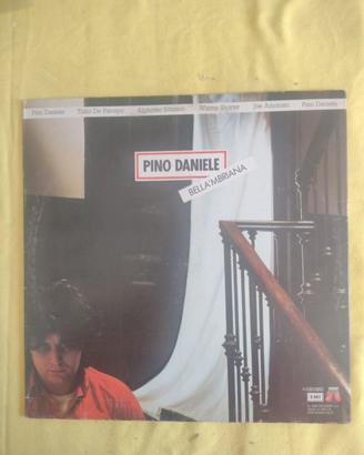 Vinile di pino danieie