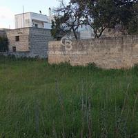 Terreno Edificabile - Torre Santa Susanna