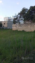 Terreno Edificabile - Torre Santa Susanna