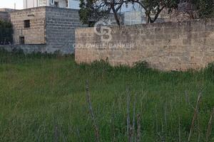 Terreno Edificabile - Torre Santa Susanna