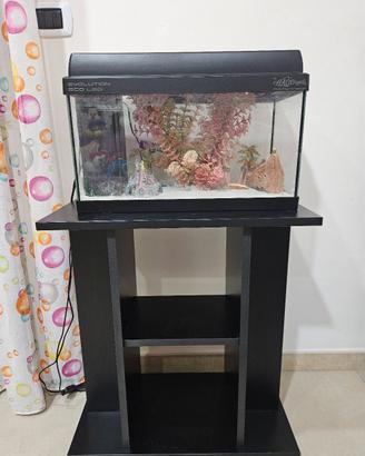 Acquario