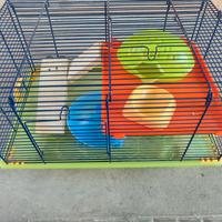 gabbia per criceti 