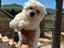 Immagine 3