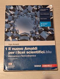 Il nuovo Amaldi per i licei scientifici.blu