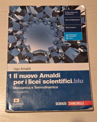 Il nuovo Amaldi per i licei scientifici.blu