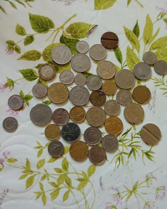 solo per collezionisti e intenditori