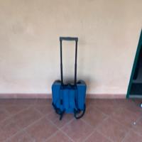 Trasportino cani usato una sola volta
