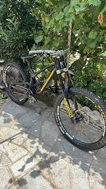 Nukeproof dissent dh mullet