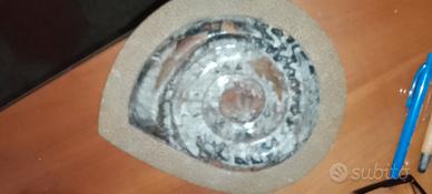 fossile di ammonite