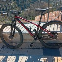 bicicletta mtb