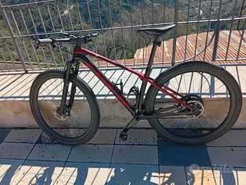bicicletta mtb