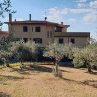 Palestrina, Colle Martino riservatissimo in piccol