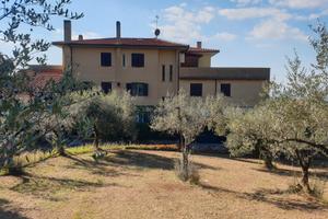 Palestrina, Colle Martino riservatissimo in piccol