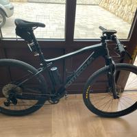 Mtb Bottecchia