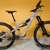 canyon spectral AL 6 2024 