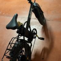 Bici elettrica