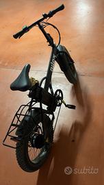 Bici elettrica