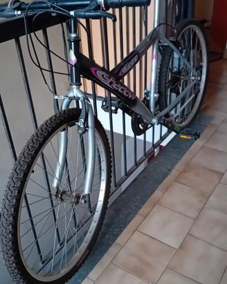 bicicletta mountain bike 