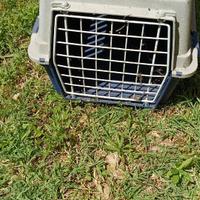 Trasportino gatto