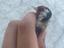 Immagine 3