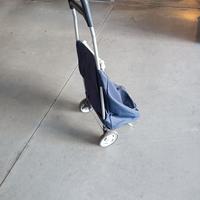 Carrello per la spesa