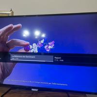 TV PHILIPS 50 pollici Ultra HD 4K