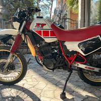 Xt 600