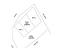 Immagine 30