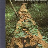 LE GRANDI DISTESE SELVAGGE Europa da scoprire 1978