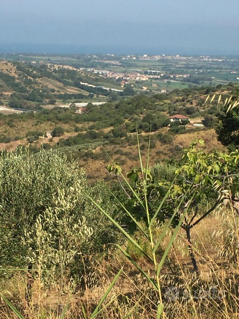 Terreno Ogliastro Cilento - Vista 4