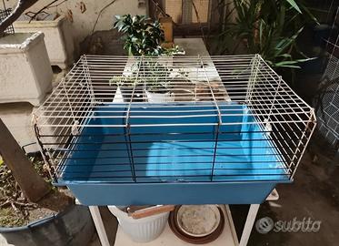 gabbia per animali domestici con accessori 