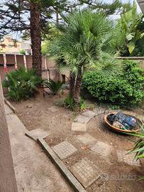 Villa libera su 4 lati con giardino