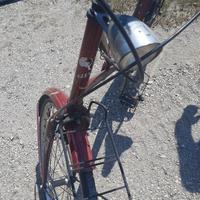 Bici Cinzia