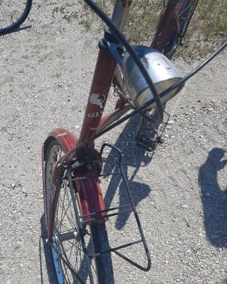Bici Cinzia