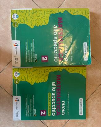 Nuova matematica allo specchio libro di mate 2anno