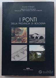 I PONTI DELLA PROVINCIA DI BOLOGNA INGEGNERIA