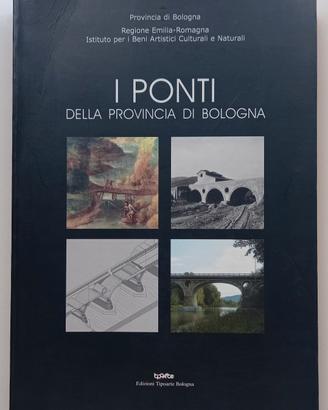 I PONTI DELLA PROVINCIA DI BOLOGNA INGEGNERIA