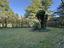 Immagine 26