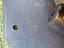 Immagine 24