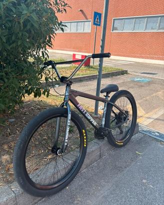 Se bikes Fast ripper