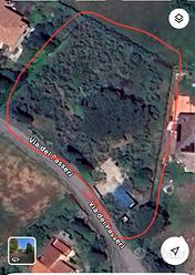 Uliveto in produzione