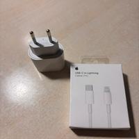 Apple  iPhone caricabatterie