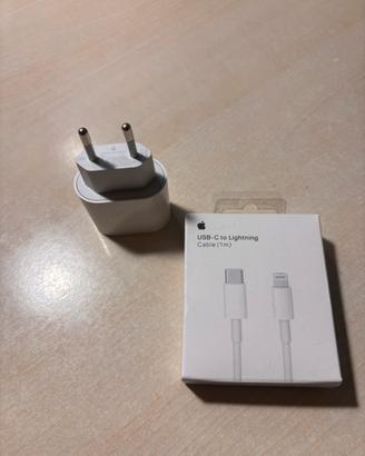 Apple  iPhone caricabatterie