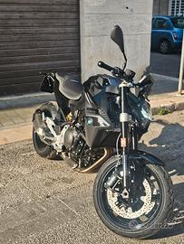 F900R 2025