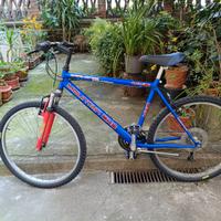 Bici MTB Experience 26" ammortizzata