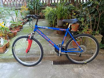 Bici MTB Experience 26" ammortizzata