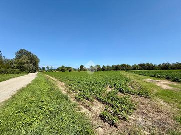 RUSTICO A AZZANO DECIMO