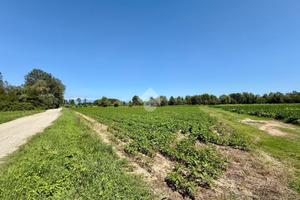 RUSTICO A AZZANO DECIMO