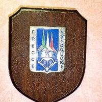 Crest Frecce tricolori