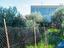Immagine 14